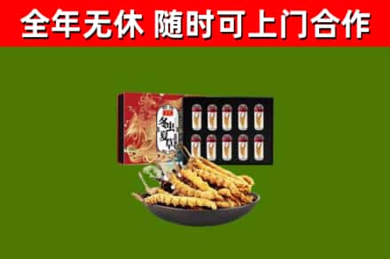兴隆台区回收冬虫夏草价格